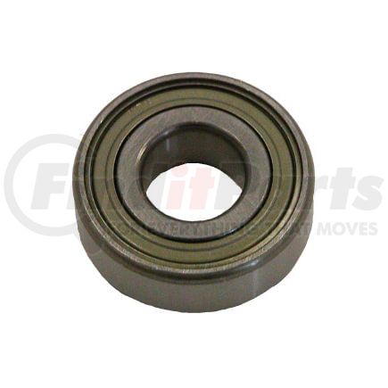 SKF P204-RR6 Bearing