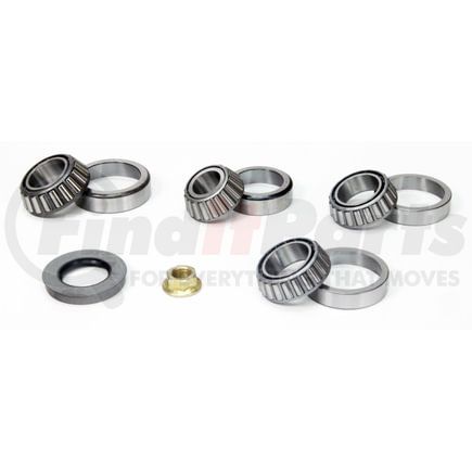 SKF SDK300 Differential Rebuild Kit