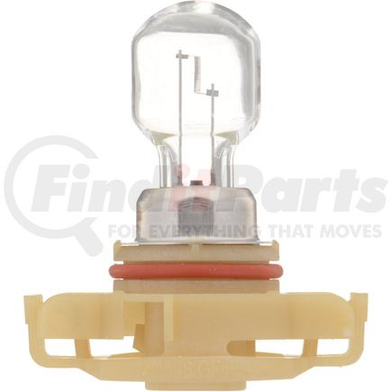 Phillips Industries PSX24WC1 Fog Light Bulb - 12V, 24 Watts, Clear, Halogen