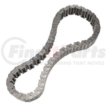 Morse HV070 BW4044 CHAIN W/ 5.0 LTR 1.25"