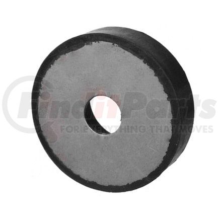 World American WA03-5111 Engine Mount Bushing, Front