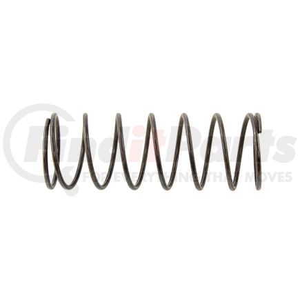 BorgWarner 4400156001 BW SPRING - FITS MANY