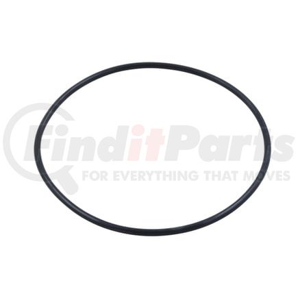 World American WA20-04-3012 Multi-Purpose O-Ring