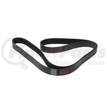World American WA900-01-1042 V-Belts, 75.96" Length, 10-Ribs, 0.28" Top Width