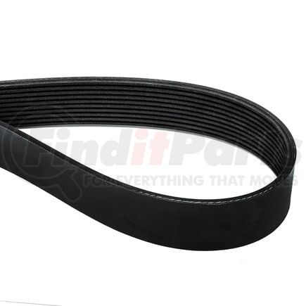 World American WA905-03-2032 V-Belts, 63.74" Length, 1.375" Top Width, 10 Ribs, 64.35" Circumference
