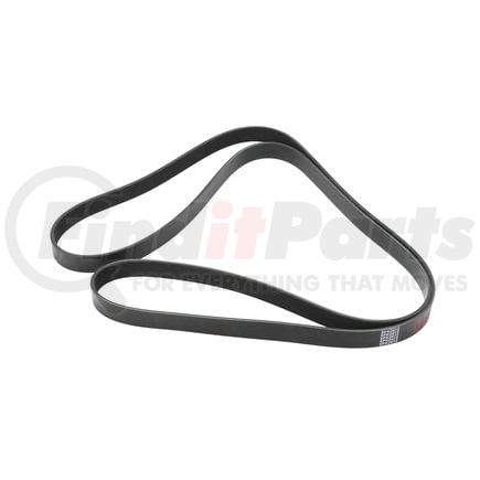 World American WA912-01-1044 V-Belts, 64.2" Length, 1.4" Top Width, 8 Ribs, 65" Circumference