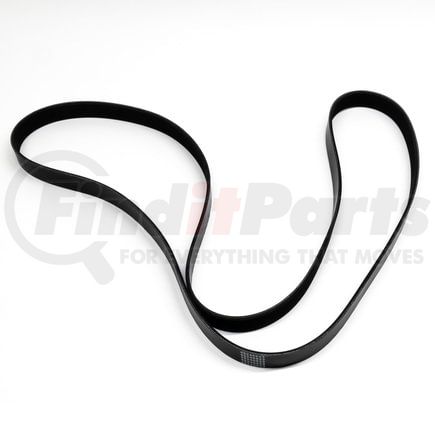 World American WA912-03-2041 V-Belts, 81.36" L, 1.087" Top Width, 8 Ribs, 82.08" Circumference