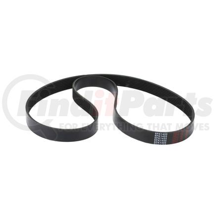 World American WA912-03-2039 V-Belts, 57.51" Length, 1.087" Top Width, 8 Ribs, 58.07" Circumference