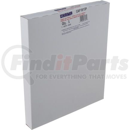 Luber-Finer CAF1813P Luberfiner CAF1813P Cabin Air Filter