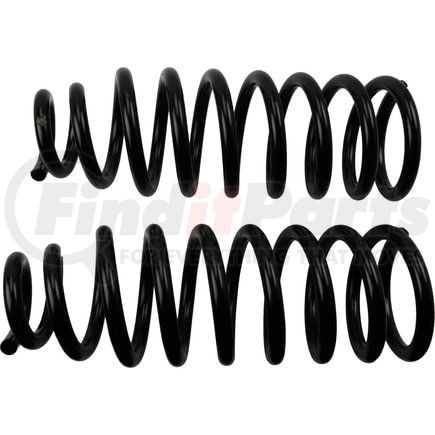 Moog 81760 Coil Spring Set