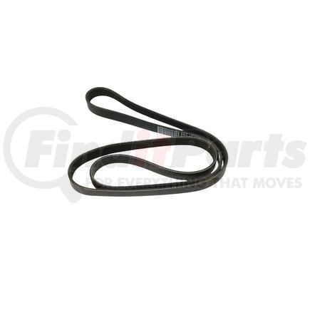 Paccar D84-1000-6061620 Accessory Drive Belt, Poly Material, 6 Ribs, 1620 mm Length