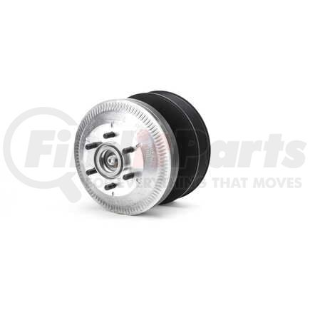 Horton 99A9829 DM Advantage Fan Clutch