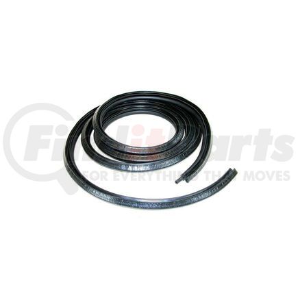 Fairchild D3025 Door Seal