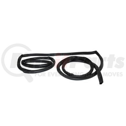 Fairchild G3004 Door Seal