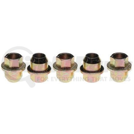 Raybestos 10019N Raybestos R-Line Wheel Lug Nut