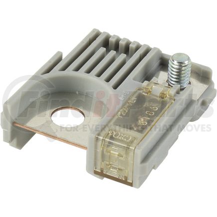 Omega Environmental Technologies 48-10062 Main Fuse