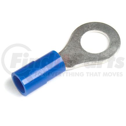Grote 842212 RING TERM