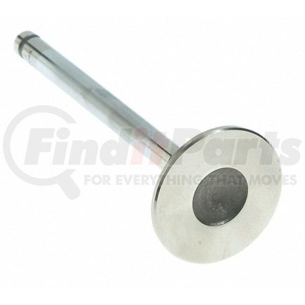 Sealed Power V-2436 Engine Exhaust Valve