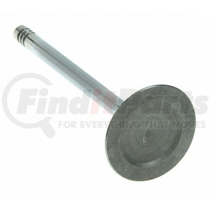 Sealed Power V-2448 Engine Intake Valve