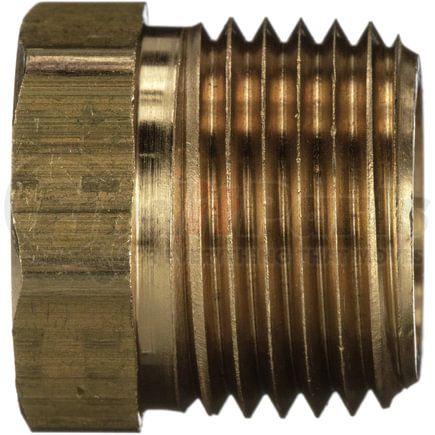 Gates G60614-0806 Male Pipe to Female Pipe - Reducer (Pipe Adapters)