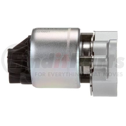 Delphi EG10021 EGR Valve