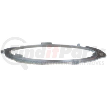 Delphi FA10028 Fuel Tank Lock Ring