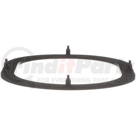 Delphi FA10039 Fuel Pump Tank Seal