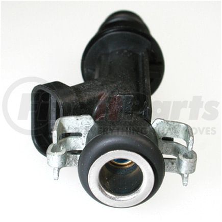 Delphi FJ10065 Fuel Injector