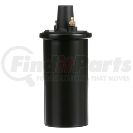 Delphi GN10339 Ignition Coil