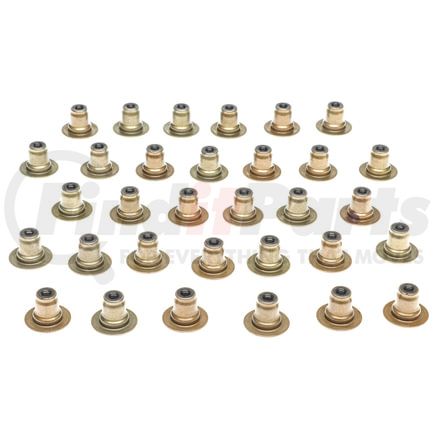 Mahle SS46149 Engine Valve Stem Oil Seal Set