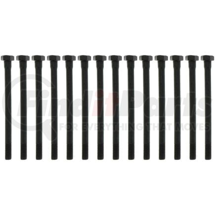 Mahle GS33452A Engine Cylinder Head Bolt Set