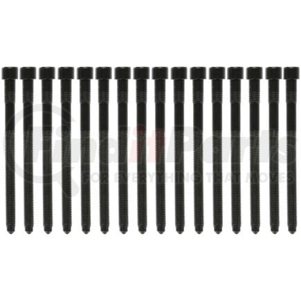 Mahle GS33455 Engine Cylinder Head Bolt Set