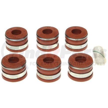 Mahle SS45411A Engine Valve Stem Oil Seal Set