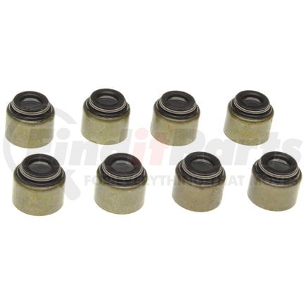 Mahle SS45806 Engine Valve Stem Oil Seal Set