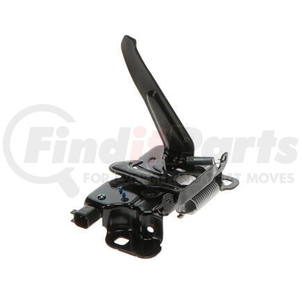 Standard Ignition DLA2173 Hood Latch Assembly