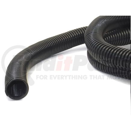 Standard Ignition HP3390 LOOM AND ACCESSO