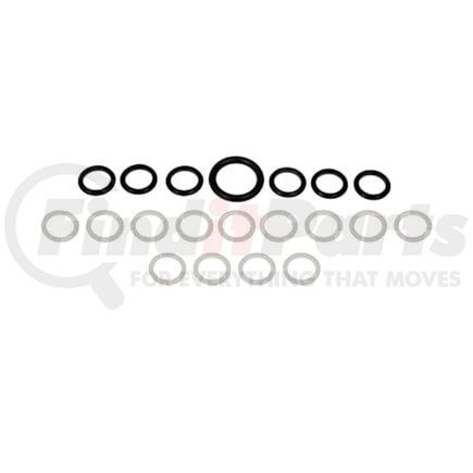 International 1842626C96 HP Oil Rail Seals Kit, Navistar Compatible