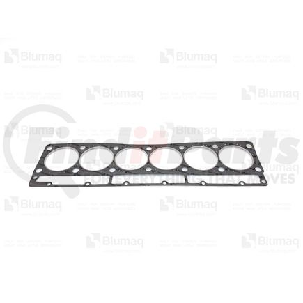Blumaq 119-2948 GASKET