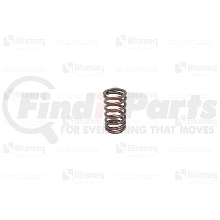 Blumaq 316-5976 Engine Valve Spring - 1.69 in x 1.69 in, Fit for Caterpillar Applications