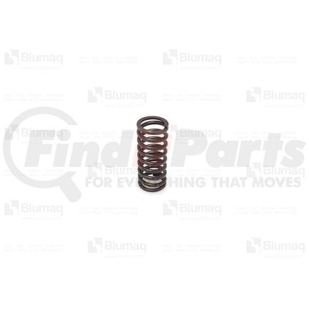 Blumaq 316-5977 Engine Valve Spring - 1.18 in x 1.18 in, Fit for Caterpillar Applications