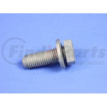 Fuel Filter Bolt