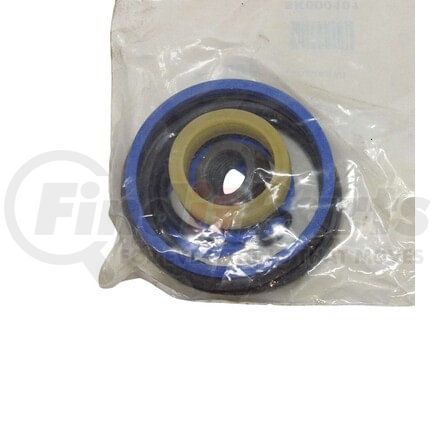 Ross SK000101 C36 CYL SEAL KIT