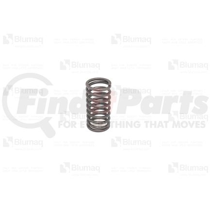 Blumaq 9M-5349 Engine Valve Spring - 1.18 in x 2.17 in, Fit for Caterpillar Applications