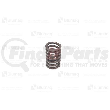 Blumaq 9M-5350 Engine Valve Spring - 38.95 mm. Length, Outer