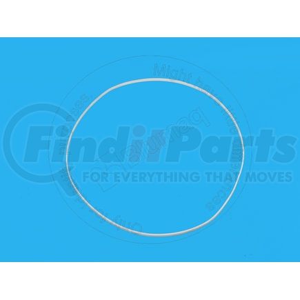 Blumaq 9X-7304 Multi-Purpose Seal Ring - Plastic, 316.82 mm. ID