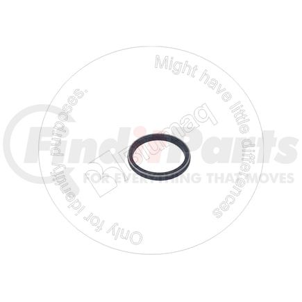 Blumaq CS6901066 Oil Seal
