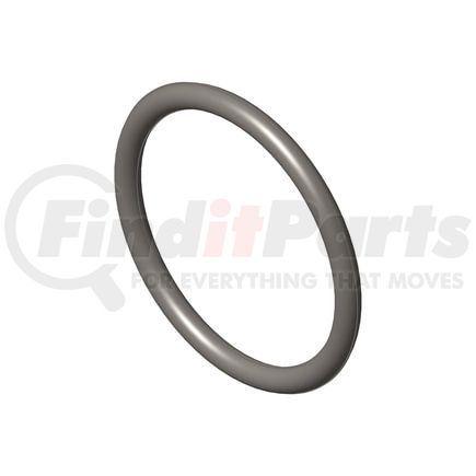 Cummins 3066914 Seal Ring / Washer