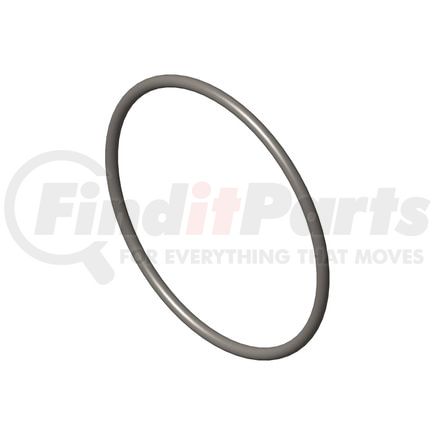 Cummins 3678724 Seal Ring / Washer