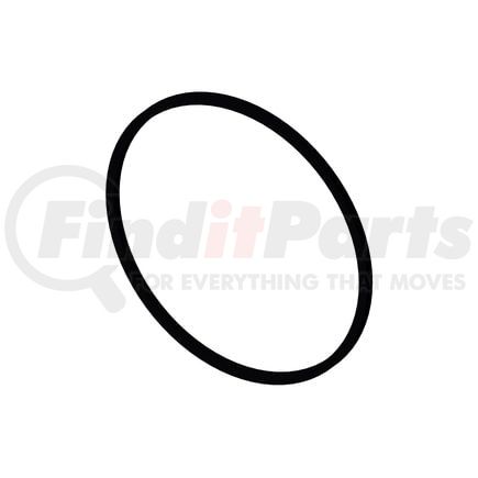 Cummins 3820945 Seal Ring / Washer