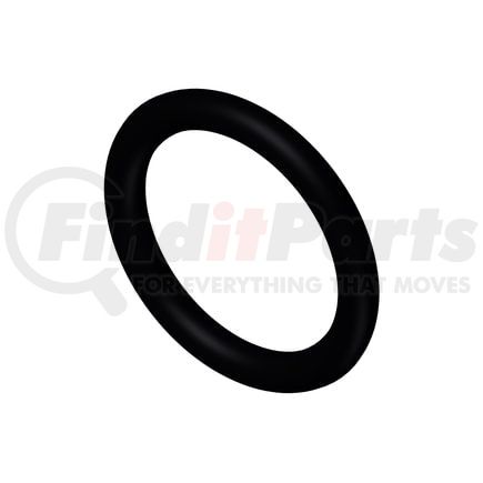 Cummins 3892095 Seal Ring / Washer